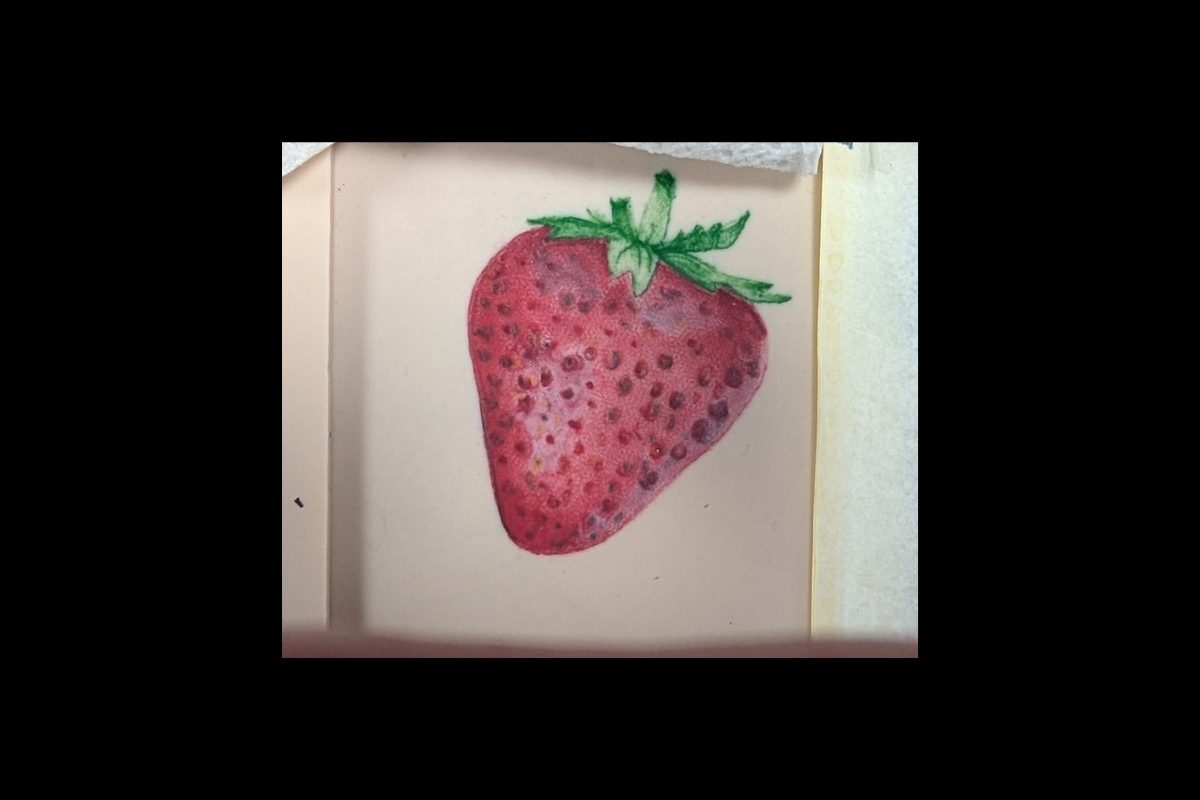 Realistische Erdbeere in roter Farbe mit grünen Blättern und feinen Details der Oberfläche