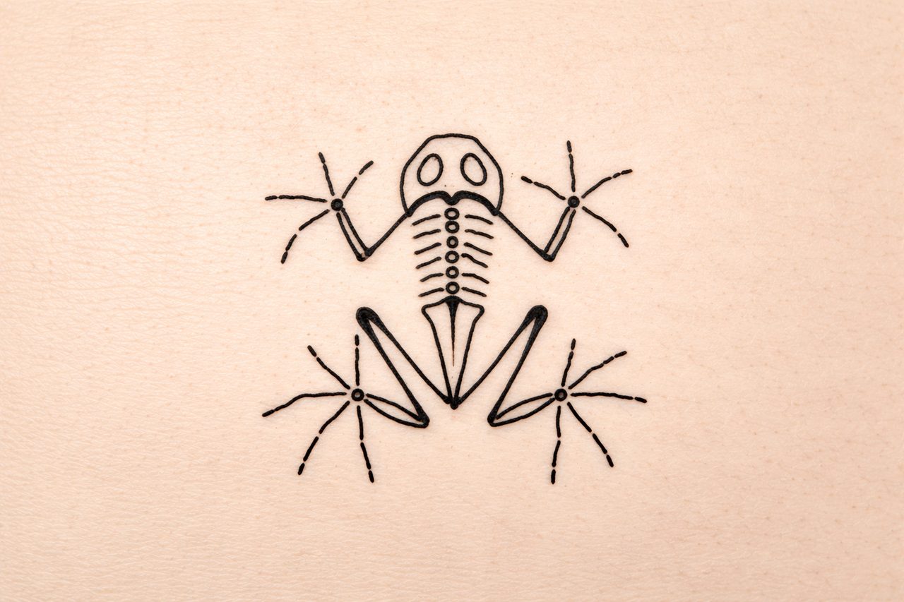 Schwarzes Linework-Tattoo eines stilisierten Skelettfroschs mit sternförmigen Details auf Tattoo-Kunsthaut.